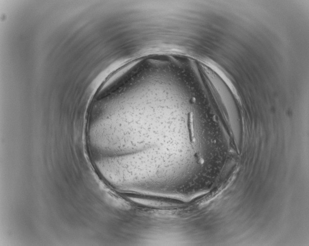 X0000059100861200510211631