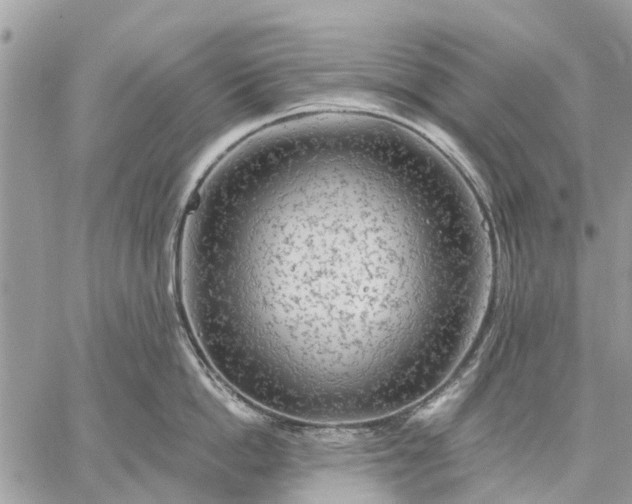 X0000059100862200510211631