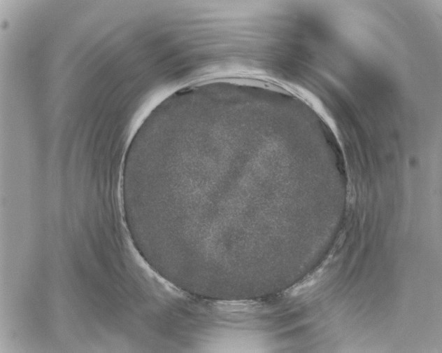 X0000059100863200510211631