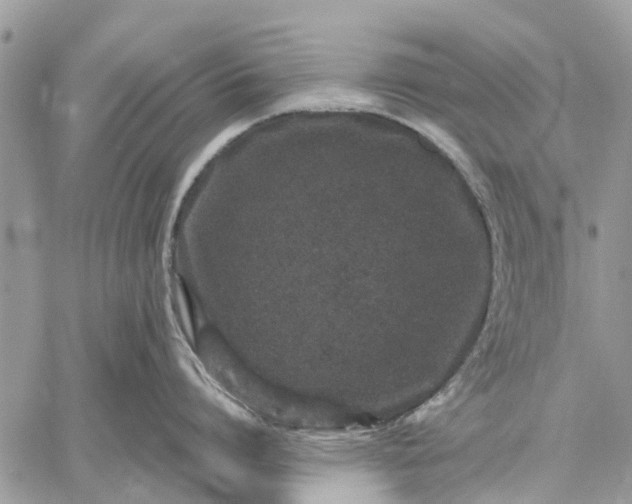 X0000059100864200510211631