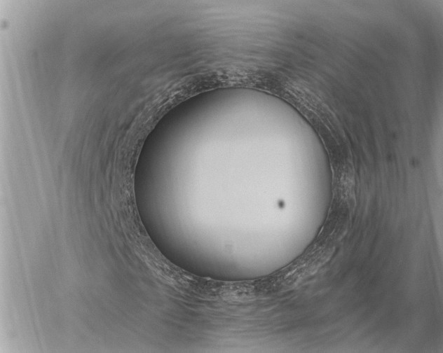 X0000059100865200510211630