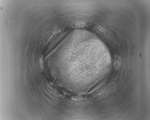 X0000059100866200510211630