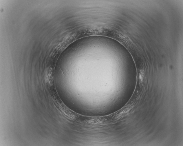 X0000059100867200510211630