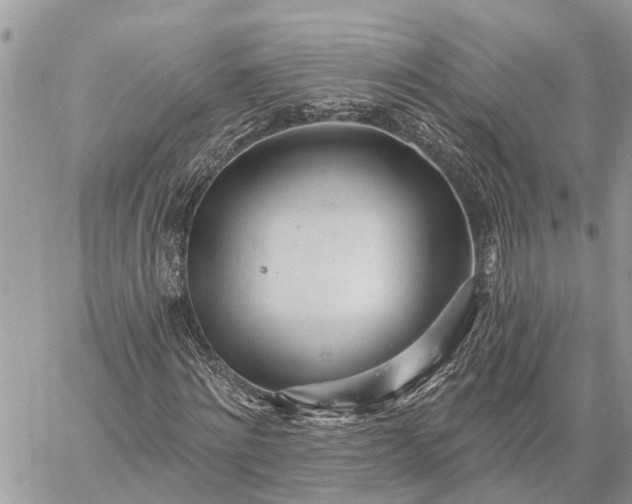 X0000059100868200510211630