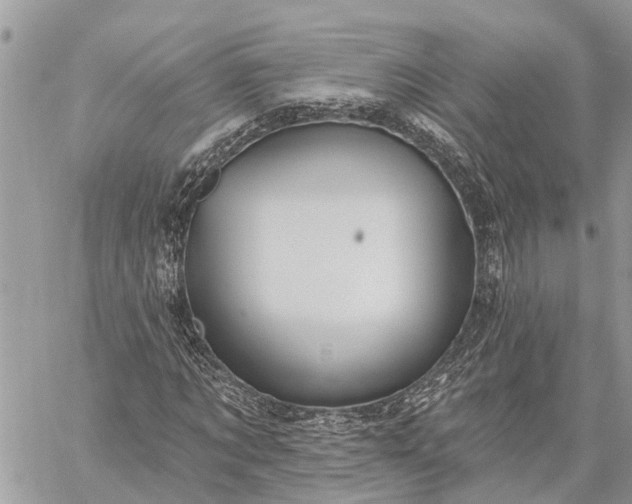 X0000059100869200510211630