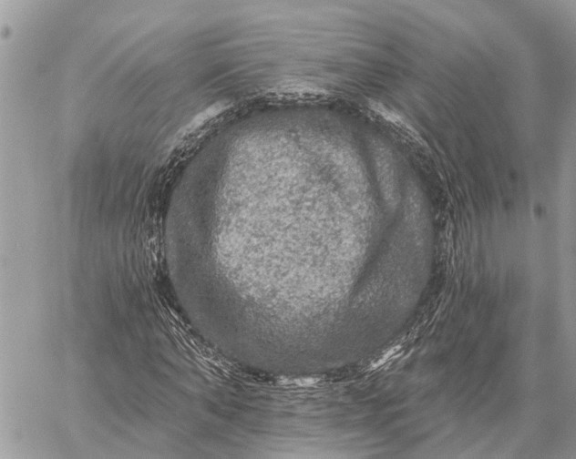 X0000059100870200510211630