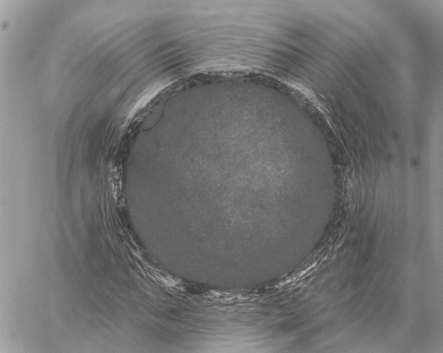 X0000059100871200510211630