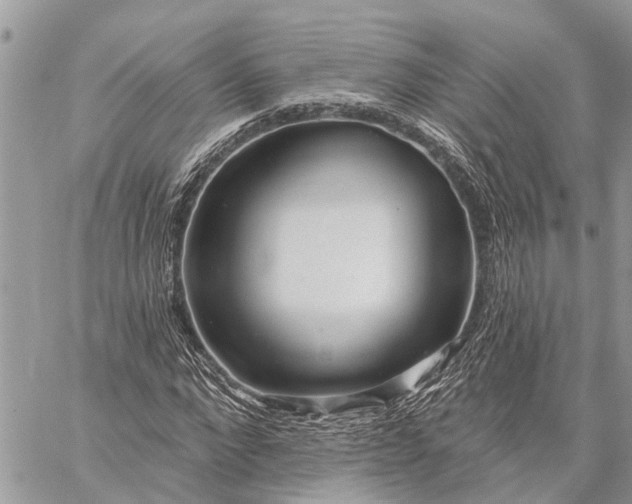 X0000059100872200510211630