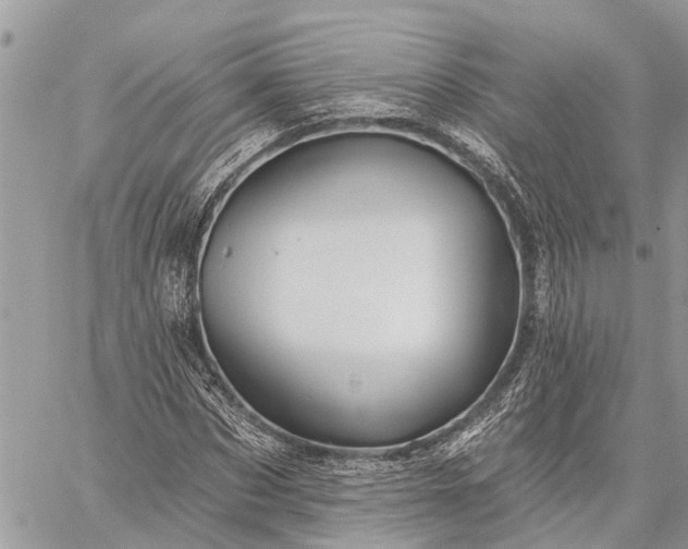 X0000059100873200510211630