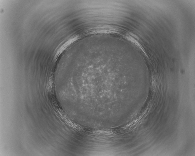 X0000059100874200510211630