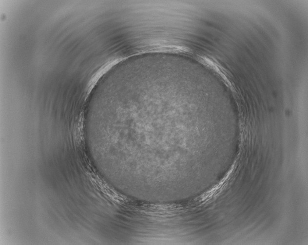 X0000059100875200510211630