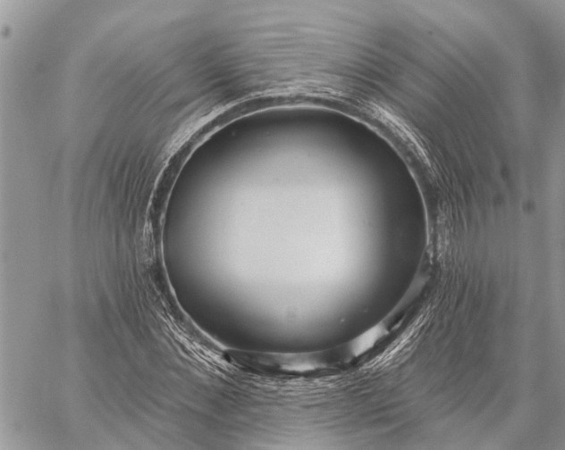 X0000059100876200510211630