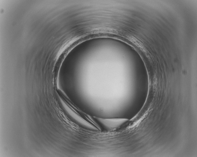 X0000059100877200510211630