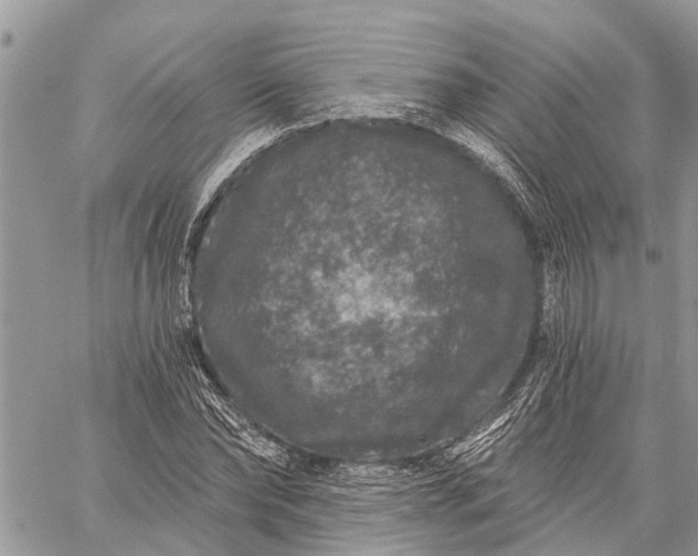 X0000059100878200510211630