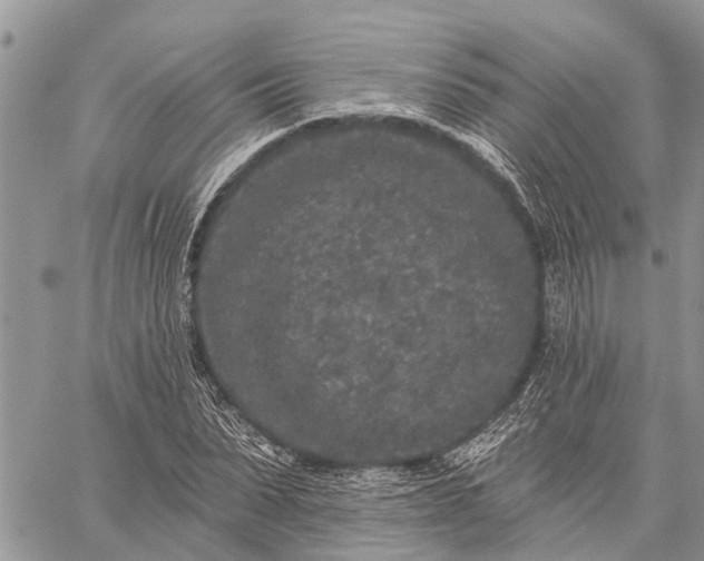 X0000059100879200510211630