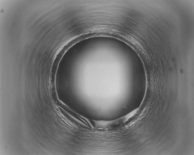 X0000059100880200510211630