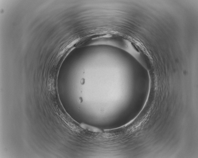 X0000059100881200510211630