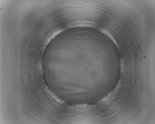 X0000059100882200510211630