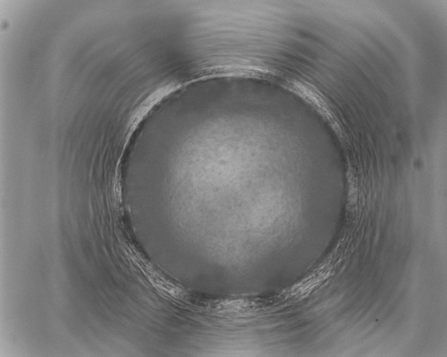 X0000059100883200510211630