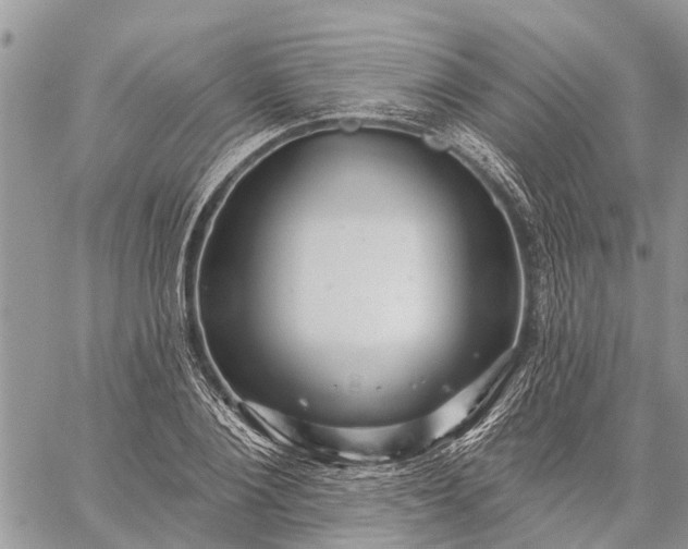 X0000059100884200510211630