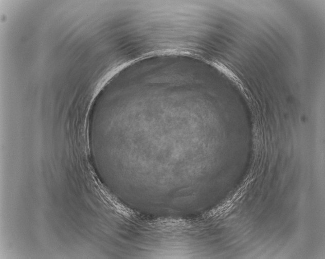 X0000059100886200510211629