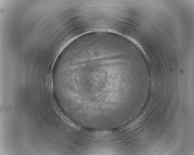 X0000059100887200510211629