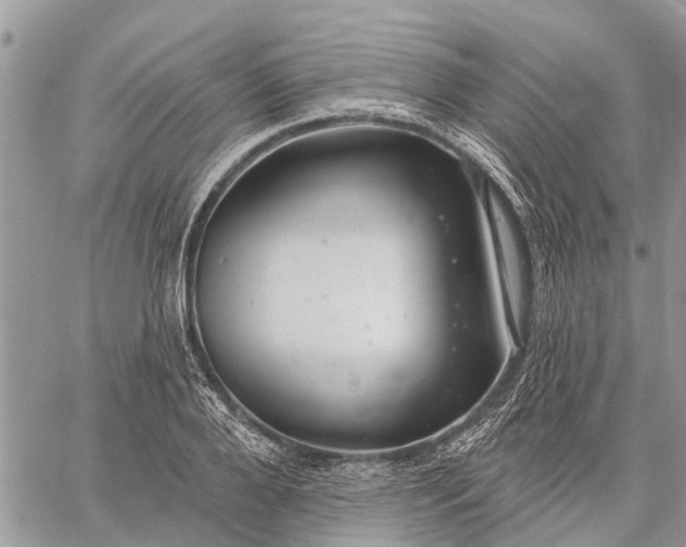 X0000059100888200510211629