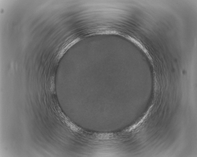 X0000059100889200510211629