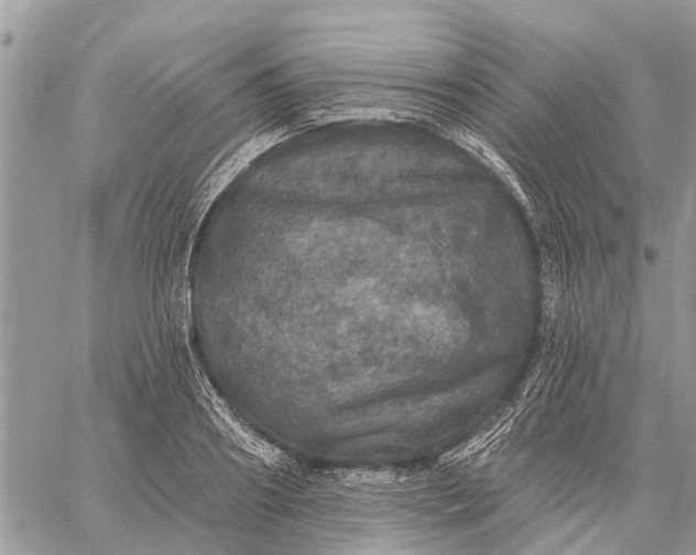 X0000059100890200510211629