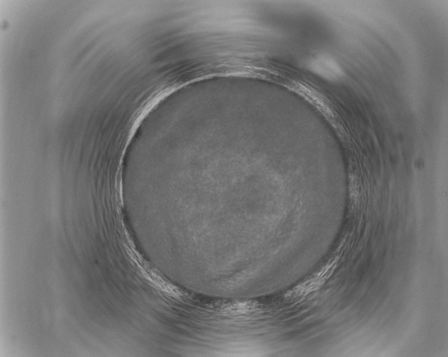 X0000059100891200510211629