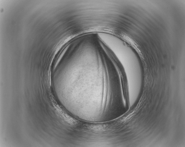 X0000059100892200510211629