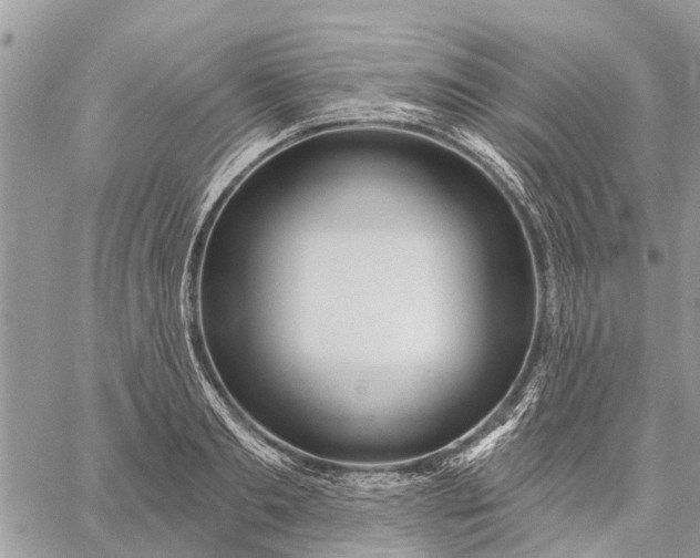 X0000059100893200510211629