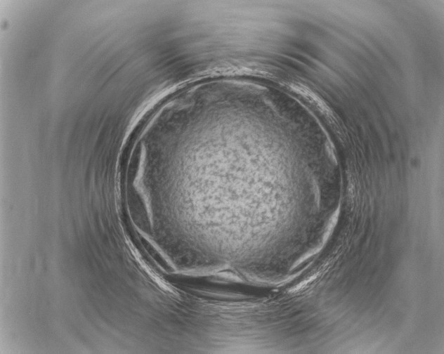 X0000059100894200510211629