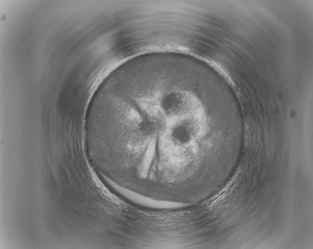 X0000059100895200510211629