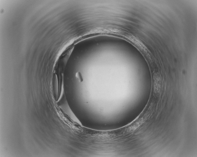 X0000059100896200510211629