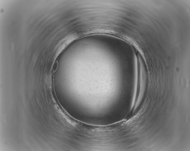 X0000059100898200510211629