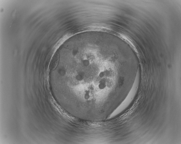 X0000059100899200510211629