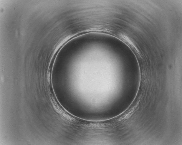 X0000059100900200510211629