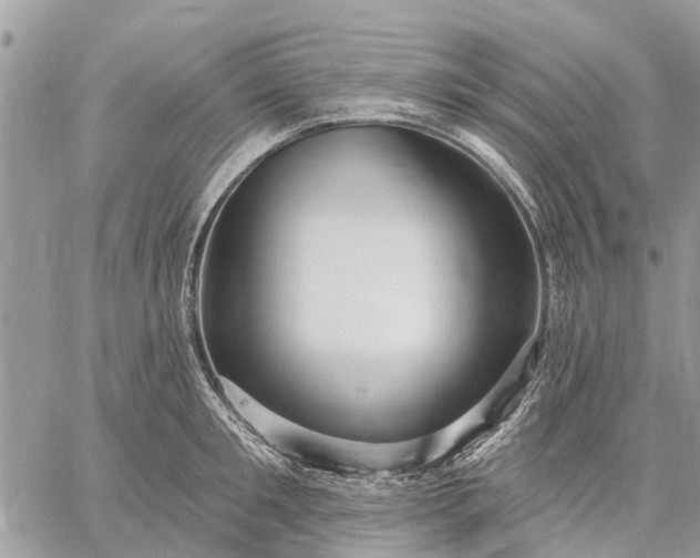 X0000059100901200510211629