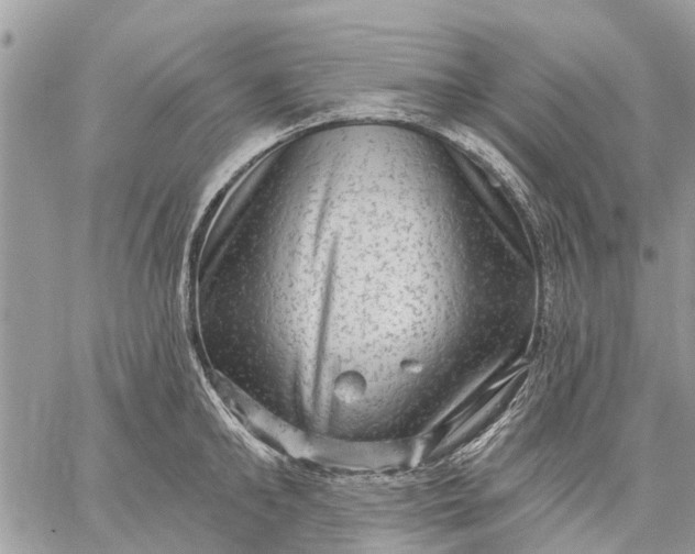 X0000059100902200510211629