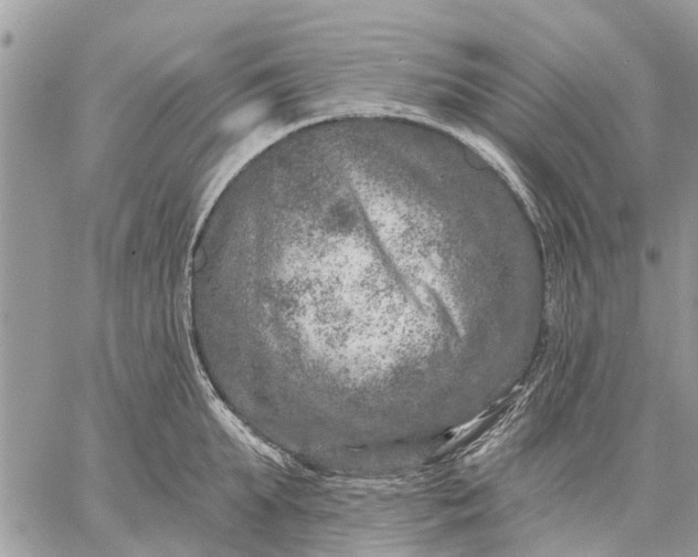 X0000059100903200510211629