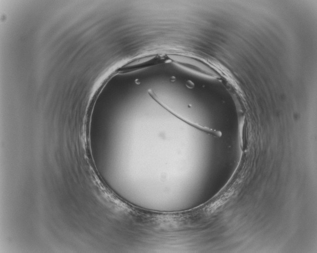 X0000059100904200510211629