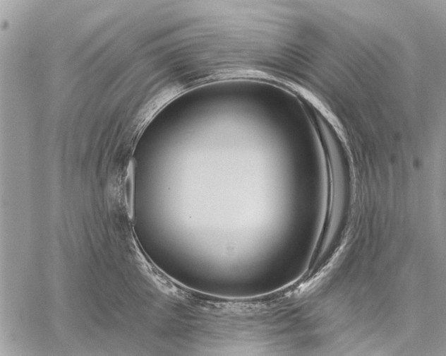 X0000059100905200510211629