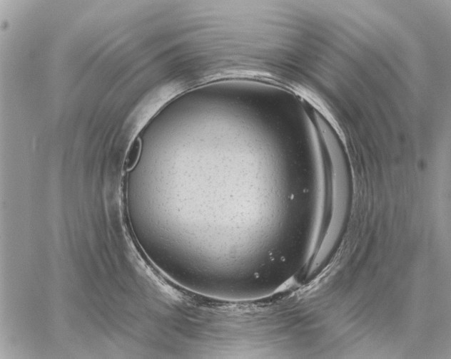 X0000059100906200510211629