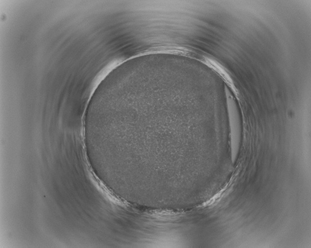 X0000059100907200510211629