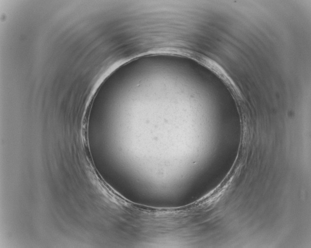 X0000059100908200510211629