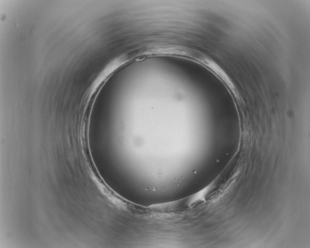 X0000059100909200510211629