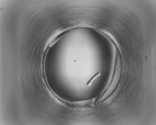 X0000059100910200510211629