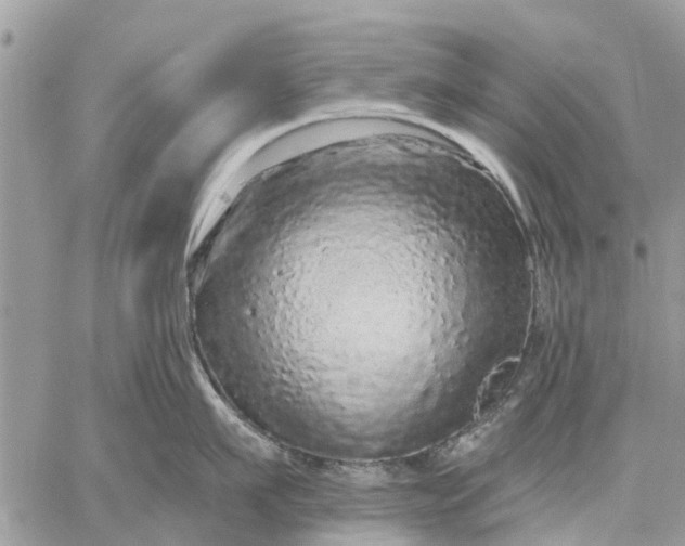 X0000059100911200510211629