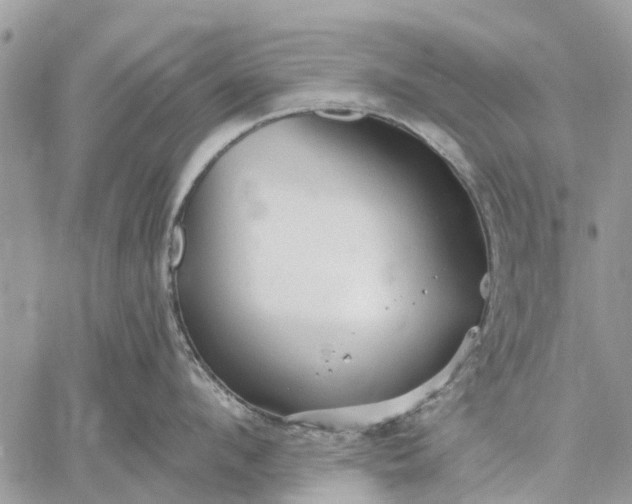 X0000059100912200510211629